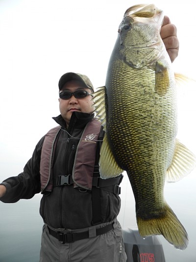 truth news ブログ写真 2014/11/01