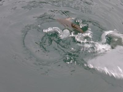 truth news ブログ写真 2014/11/01