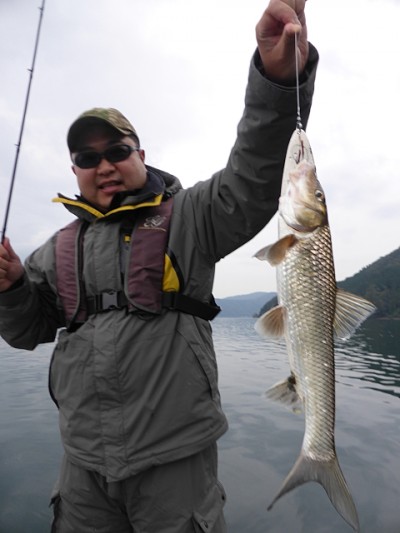 truth news ブログ写真 2014/11/01