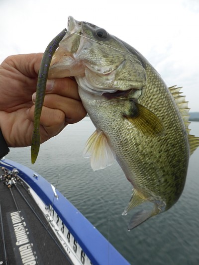 truth news ブログ写真 2014/11/01