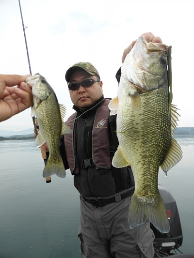 truth news ブログ写真 2014/11/01