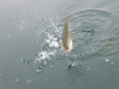 truth news ブログ写真 2014/11/01