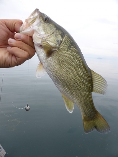 truth news ブログ写真 2014/11/01