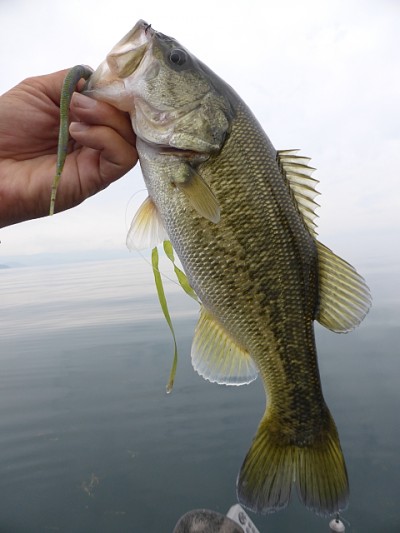 truth news ブログ写真 2014/11/01