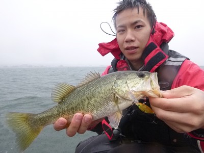 truth news ブログ写真 2014/11/02