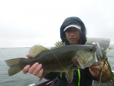 truth news ブログ写真 2014/11/02