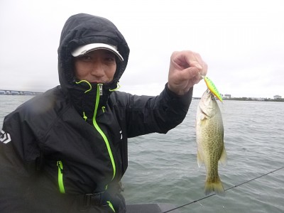 truth news ブログ写真 2014/11/02