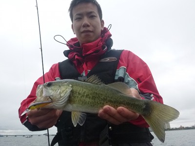 truth news ブログ写真 2014/11/02