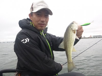 truth news ブログ写真 2014/11/02