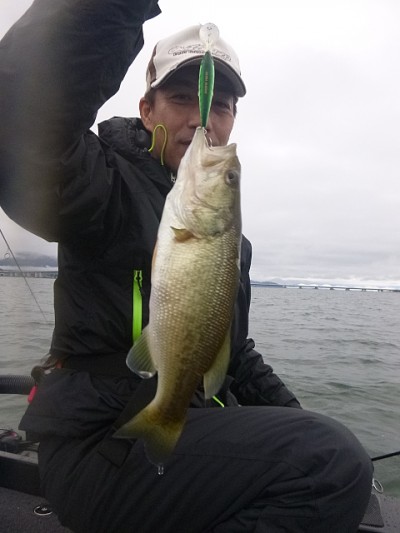 truth news ブログ写真 2014/11/02