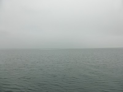 truth news ブログ写真 2014/11/02