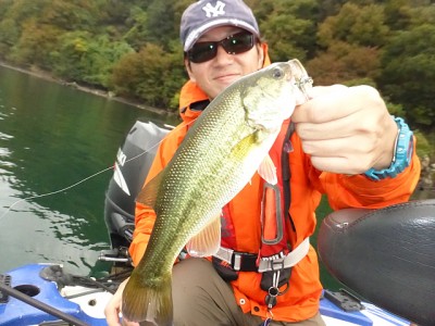 truth news ブログ写真 2014/11/02