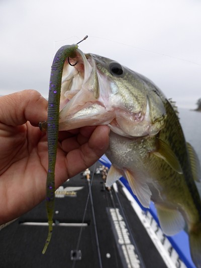 truth news ブログ写真 2014/11/02