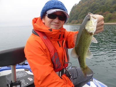 truth news ブログ写真 2014/11/02