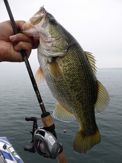 truth news ブログ写真 2014/11/02