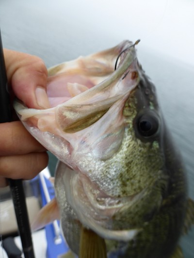 truth news ブログ写真 2014/11/02