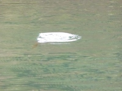 truth news ブログ写真 2014/11/02