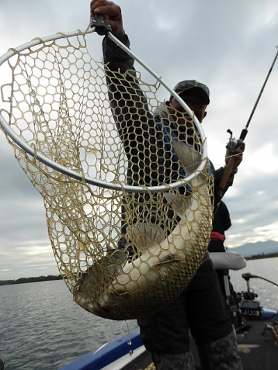 truth news ブログ写真 2014/11/05