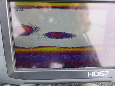 truth news ブログ写真 2014/11/06