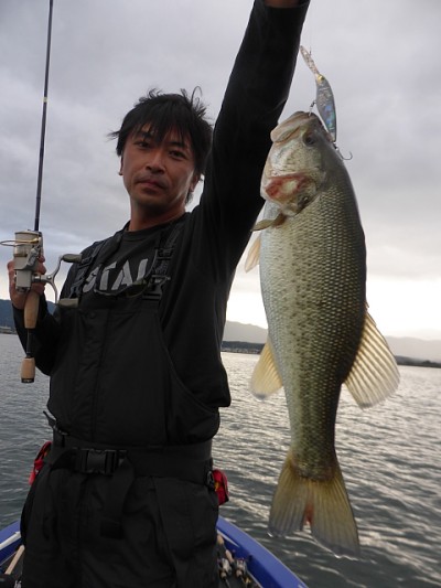 truth news ブログ写真 2014/11/06