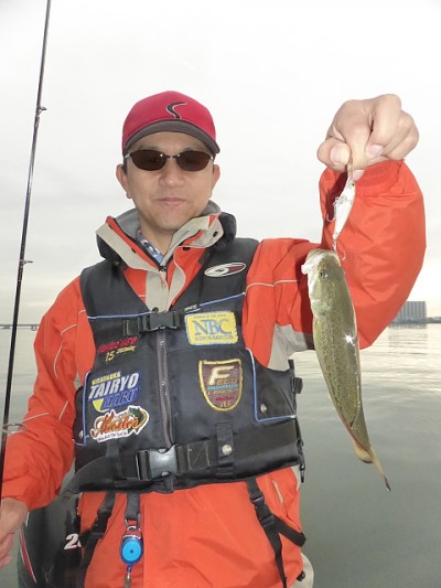 truth news ブログ写真 2014/11/06