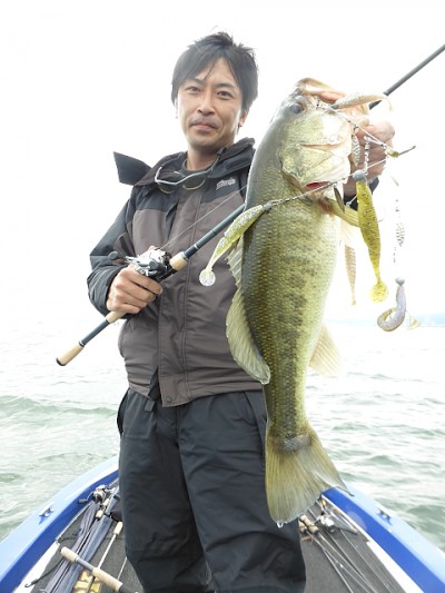 truth news ブログ写真 2014/11/06