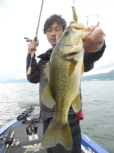 truth news ブログ写真 2014/11/06