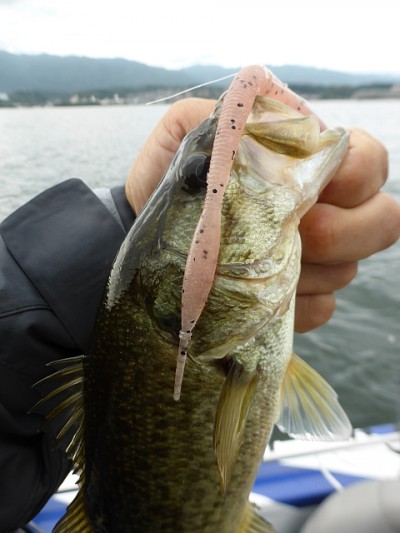 truth news ブログ写真 2014/11/06