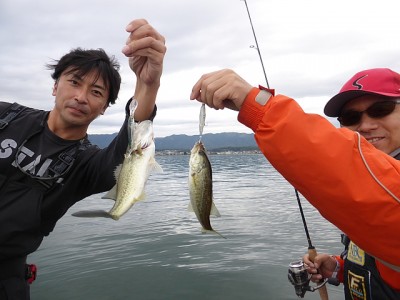 truth news ブログ写真 2014/11/06