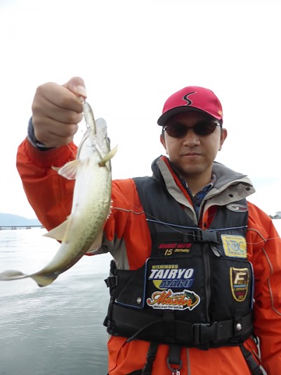 truth news ブログ写真 2014/11/06