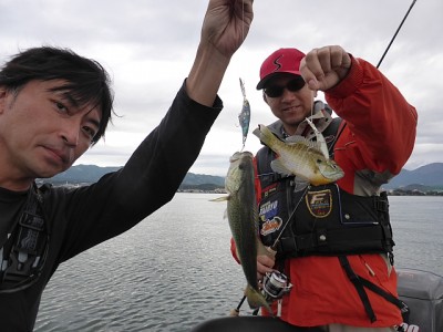 truth news ブログ写真 2014/11/06