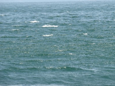 truth news ブログ写真 2014/11/07