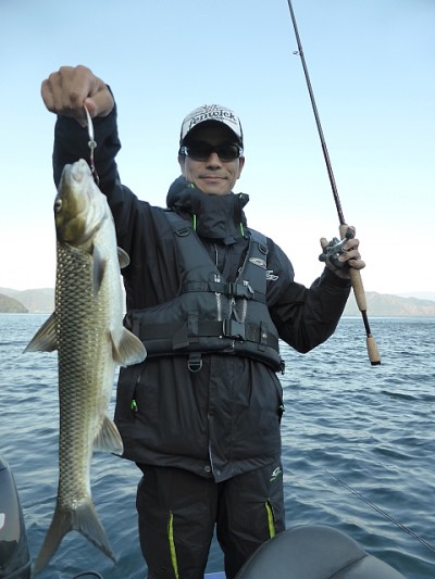 truth news ブログ写真 2014/11/07