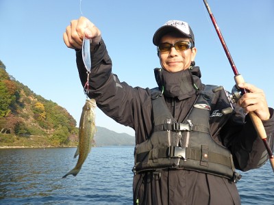 truth news ブログ写真 2014/11/07