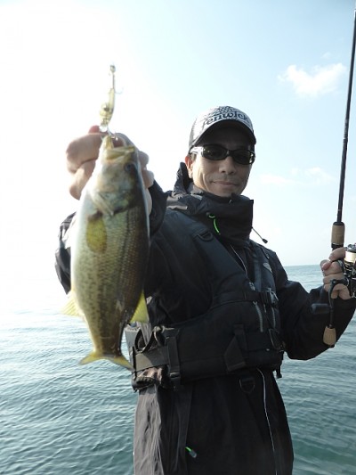 truth news ブログ写真 2014/11/07