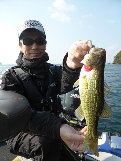 truth news ブログ写真 2014/11/07