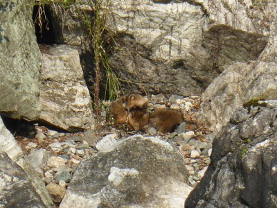 truth news ブログ写真 2014/11/07