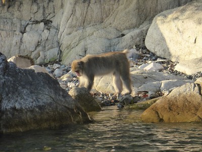 truth news ブログ写真 2014/11/07