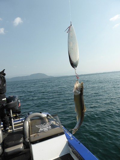 truth news ブログ写真 2014/11/07