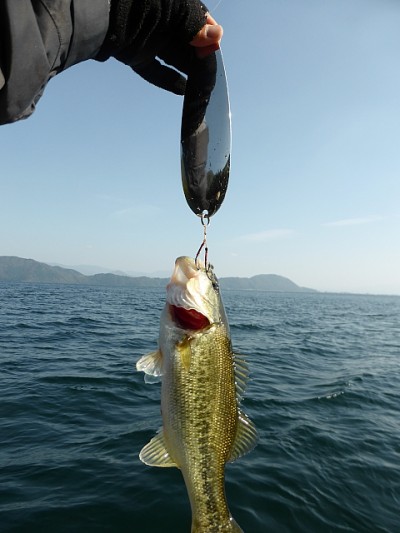 truth news ブログ写真 2014/11/07