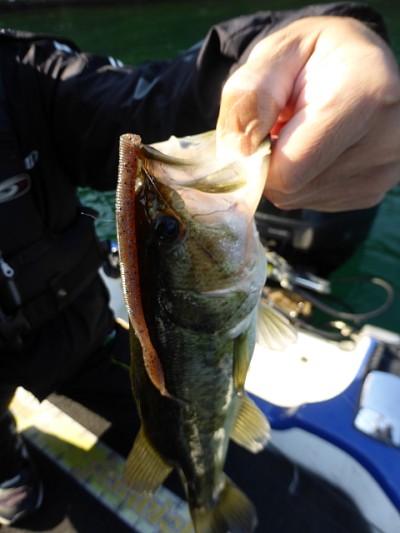 truth news ブログ写真 2014/11/07