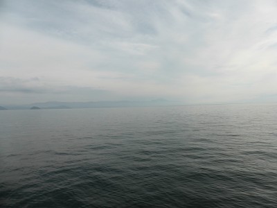 truth news ブログ写真 2014/11/09