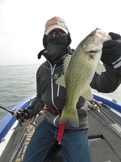 truth news ブログ写真 2014/11/09