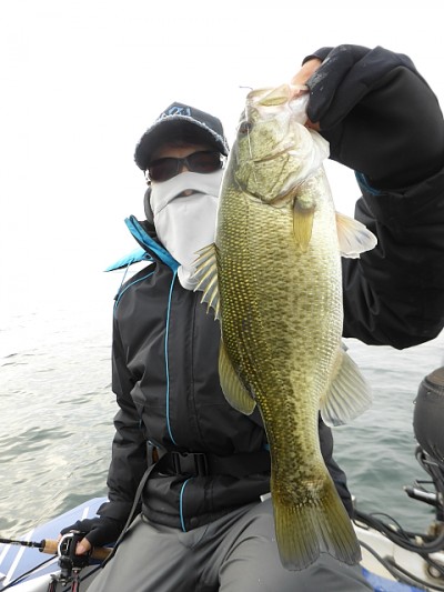 truth news ブログ写真 2014/11/09