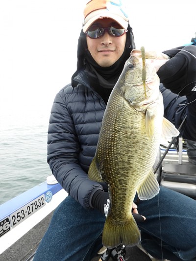 truth news ブログ写真 2014/11/09