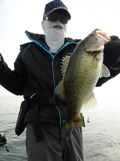 truth news ブログ写真 2014/11/09