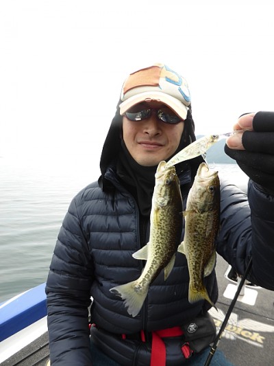 truth news ブログ写真 2014/11/09