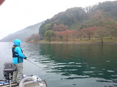 truth news ブログ写真 2014/11/10