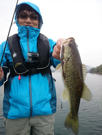 truth news ブログ写真 2014/11/10