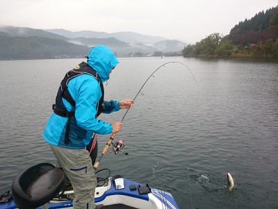 truth news ブログ写真 2014/11/10